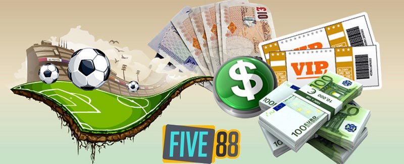 Gà chọi cấp K89bet có những ưu điểm gì thu hút người chơi? - K89bet